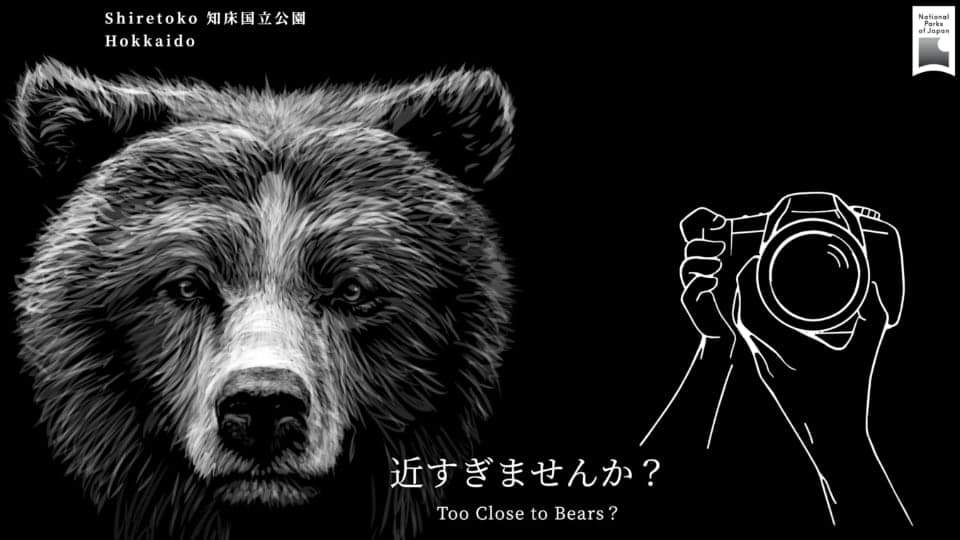 野生動物に近すぎませんか？