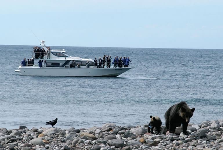 知床小型観光船から見えたヒグマの親子