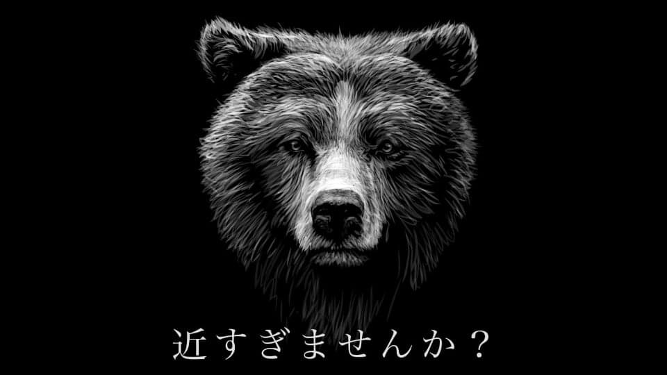 野生動物に近すぎませんか？
